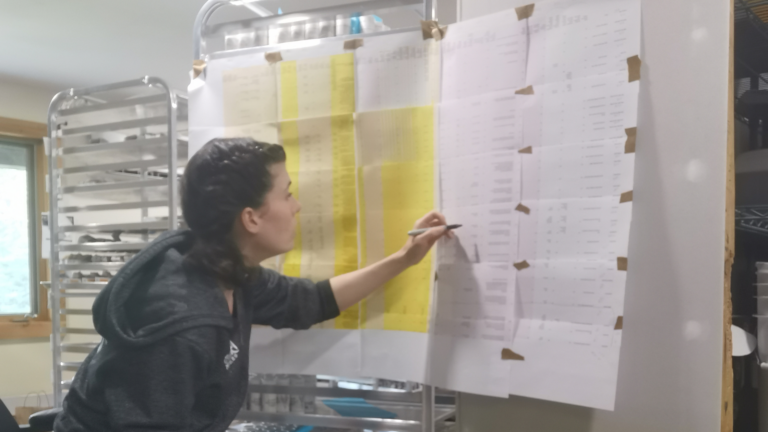 Read more about the article Branding for startups